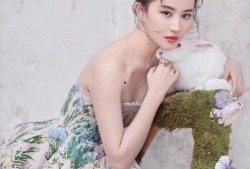 刘亦菲圈内老斯基爆料,老斯基爆料背后的故事