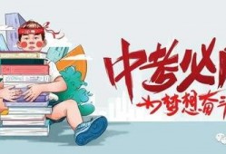 太阳队网红爆料最新消息,最新动态揭秘，球队未来走向引关注