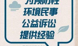 给澎湃新闻爆料是匿名吗,匿名爆料，揭秘事件真相