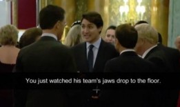 特朗普八卦爆料视频大全,八卦爆料视频大全深度解析