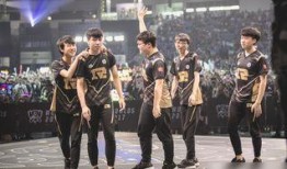 小龙堡爆料小虎视频大全,小虎视频大全背后的精彩瞬间