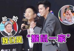 杨迪爆料王鹤棣视频,揭秘娱乐圈不为人知的一面