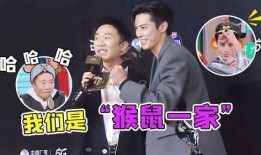 杨迪爆料王鹤棣视频,揭秘娱乐圈不为人知的一面