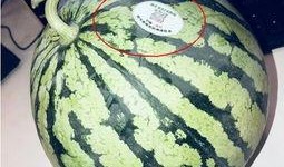 菏泽网红吃瓜,揭秘当地美食文化新潮流