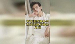 内地娱乐圈爆料王凯,内地娱乐圈爆料王，揭秘娱乐圈幕后故事