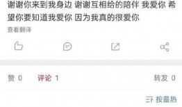 圈内小料爆料小飞,圈内小料揭秘，神秘事件背后的真相