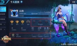 王者太阳爆料视频大全,揭秘游戏幕后精彩瞬间