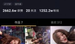 南阳网红爆料事件视频播放,揭秘事件背后真相