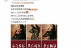 内部人士爆料白鹿视频,白鹿视频背后的秘密与真相