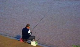 娱乐吃瓜君钓鱼,揭秘娱乐圈背后的秘密与八卦