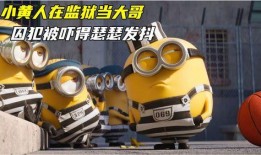 神偷奶爸3高清在线观看,笑料横飞，惊喜连连！