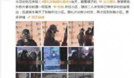 内部人士爆料白鹿视频,白鹿视频背后的秘密与真相