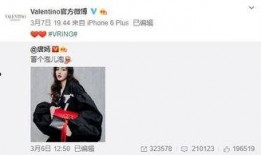 麦燕最新爆料,揭秘娱乐圈惊人内幕