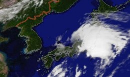 日本台风最新新闻爆料,多地受灾严重，官方紧急应对！”
