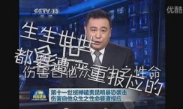 cctv4直播在线观看,CCTV4直播在线观看，尽享多元文化盛宴