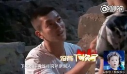 偷亲的后裔在线观看,浪漫奇缘，揭秘神秘家族传承之谜