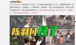 子臣被爆料出轨视频,一段婚姻的裂痕与反思