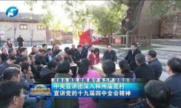 林州爆料新闻网最新消息,最新动态，揭秘林州热点事件！