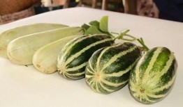 网红吃瓜资源在哪里找,一网打尽热门资讯