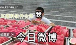 最新吃瓜爆料视频免费观看全集,免费观看全集，带你领略娱乐圈风云变幻