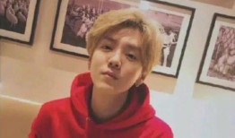 鹿晗爆料视频大全集,揭秘明星背后的真实生活