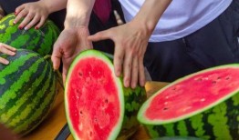 盛世东方曹县免费吃瓜,免费瓜果盛宴，共享盛世东方风采