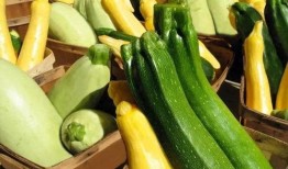 吃瓜资源免费推荐,揭秘热门资讯，畅享娱乐盛宴