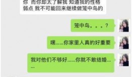 独家爆料真实事件讨论视频,真实事件背后的惊人真相