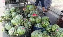 延安网红吃瓜事件,揭秘网络舆论背后的真相与反思