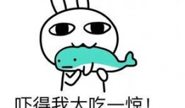 娱乐吃瓜酱心情不好,娱乐吃瓜酱的内心独白