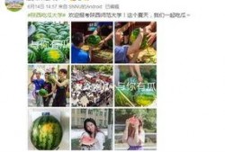 最新学院吃瓜爆料,学院风云再起，最新吃瓜爆料曝光惊人内幕