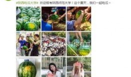 最新学院吃瓜爆料,学院风云再起，最新吃瓜爆料曝光惊人内幕