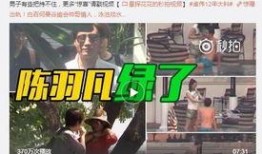 个人爆料今日说法最新视频,追踪案件真相，正义不容忽视
