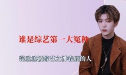 娱乐圈吃瓜宋亚轩是谁,揭秘明星幕后故事