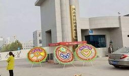 石家庄大学爆料事件最新,真相与争议交织的校园风云