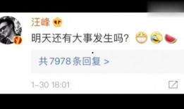 吃瓜娱乐圈语音,幕后真相与明星隐私曝光