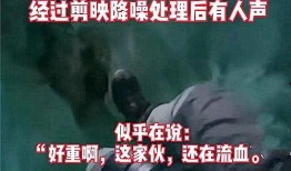 东北打工爆料事件视频播放,揭秘打工者真实生存现状