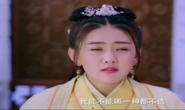 双世王妃免费在线观看,双世王妃免费在线观看，揭秘神秘双生之谜