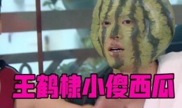 小傻瓜吃瓜视频大全集免费观看,免费畅享欢乐时光