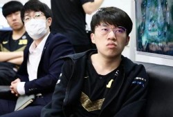 小龙堡爆料小虎视频大全,小虎视频大全背后的精彩瞬间