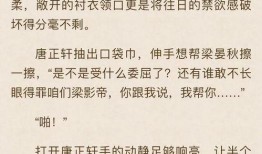 娱乐圈双男主爆料文推荐,揭秘幕后真相与情感纠葛