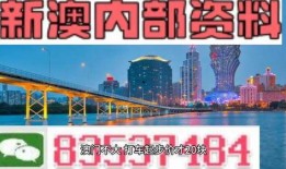 新澳353最新爆料,最新爆料背后的惊人真相